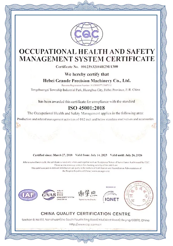 45001 Occupational Health and Safety